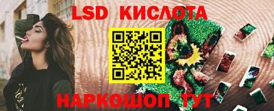 шишки Сланцы