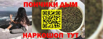 шишки Сланцы