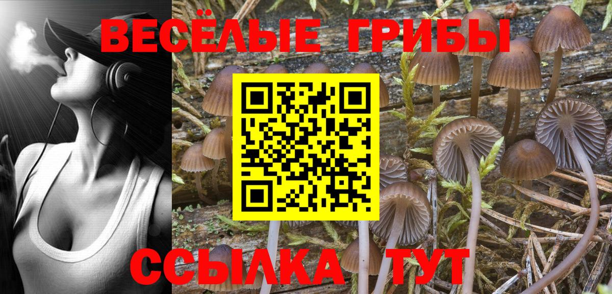 Среднеуральск  Галлюциногенные грибы GOLDEN TEACHER  Галлюциногенные грибы Cubensis  Вход с VPN 